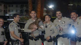 US, Los Angeles: West Covina Pursuit Ends in Puppy Rescue and Suspect at Large