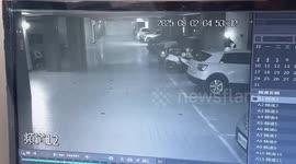 Glass roof shatters and falls into car park