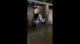 Japan: Record Rainfall Triggers Flooding and Transport Chaos in Hokuriku Region