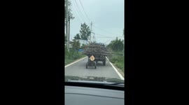 Wooden log trailer swings behind truck in Henan, China