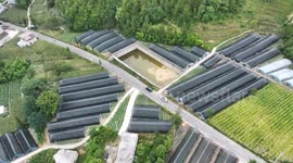 China: Scorching heatwave grips multiple regions across China