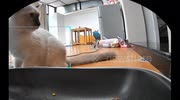 temp