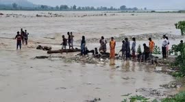 Locals collect wood washed away by floods in northern India