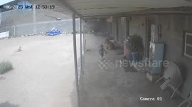 India: Dog ran away with 2-year-old child, picked him up from outside the house; father saved the innocent's life