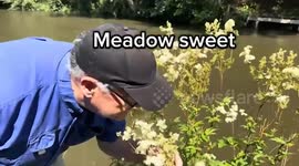 Expert warns of plants in your garden which could KILL you and your pets