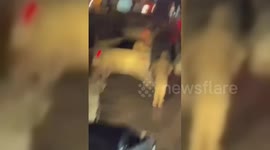 Lebanon: Lebanese Army Deploys To Counter Protests