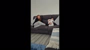 temp