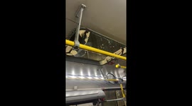 Rain Pours Into Public Transport Through Open Sunroof