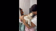 temp