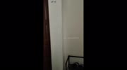 temp