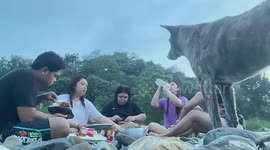 Unexpected splash disrupts picnic in Tanay, Rizal