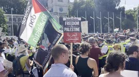 A pro-Palestinian protester is surrounded by multiple police officers outside the UK Parliament in London, before being escorted to a police vehicle