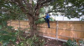 Lifelong football fan forced to watch matches from tree after stadium ban