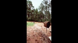 The Art of Axe Throwing