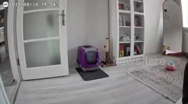 Türkiye: An earthquake of magnitude 6.1 occurred in Balıkesir