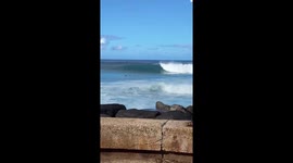 Ferry struggles against strong waves in Hawaii