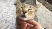 temp