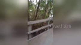 Newsflare Edit - It's a Tropical Storm Jeff!