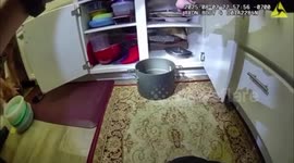 US: Walnut Creek Officers Capture Rattlesnake Found Inside Kitchen Cabinet