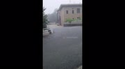 temp