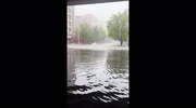 temp