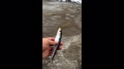 temp