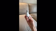 temp