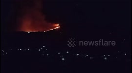 A forest fire in Syria on August 12, 2025. What's behind this fire?