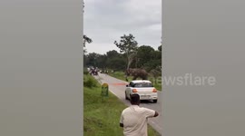 Elephant charges tourist and tramples him in reserve after he tried taking a selfie