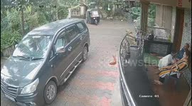 Rickshaw driver delivers newspaper with perfect throw in Kerala, India