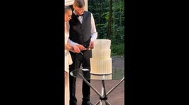Couple reveals beautiful cake in surprise event in St. Petersburg, Russia