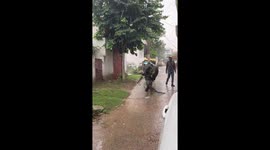 Man Rescues Water Buffalo From Metal Entanglement