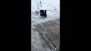 temp