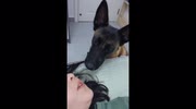 temp