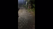 temp