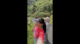 hutan rimba tidak ada jalan