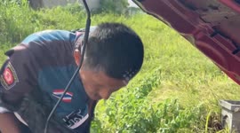 Monitor lizard trapped inside car’s engine rescued