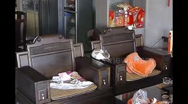 Cat Falls Between Armchair Gaps