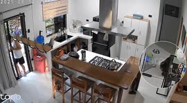 Husband baffled by 'disappearing dog' in kitchen