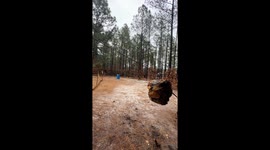 Axe Throwing in the Rain