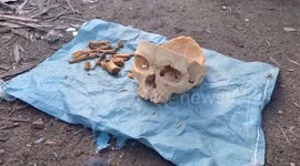 Fisherman shocked as stray dog carries bag with human skull and bones