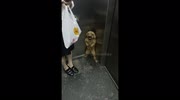 temp