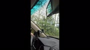 temp