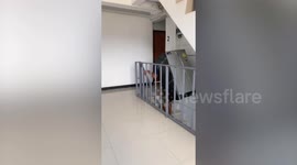Awesome deliveryman straps fridge to his back to carry it up stairs