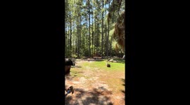 Impressive Long-Range Axe Throwing