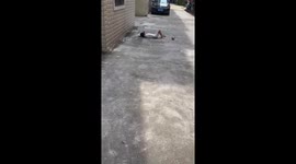 Little girl throws tantrum on ground but runs away when grandma brings out stick