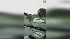 Driver Begs Police Not To Tow Ferrari On Birthday