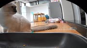 temp