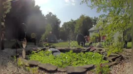 US: Giant Bear Caught On Camera Roaming Townsend Yard On Two Legs