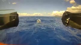 Dominica: Drones Track Whales And Apply Scientific Tags With “Tap-And-Go” Method